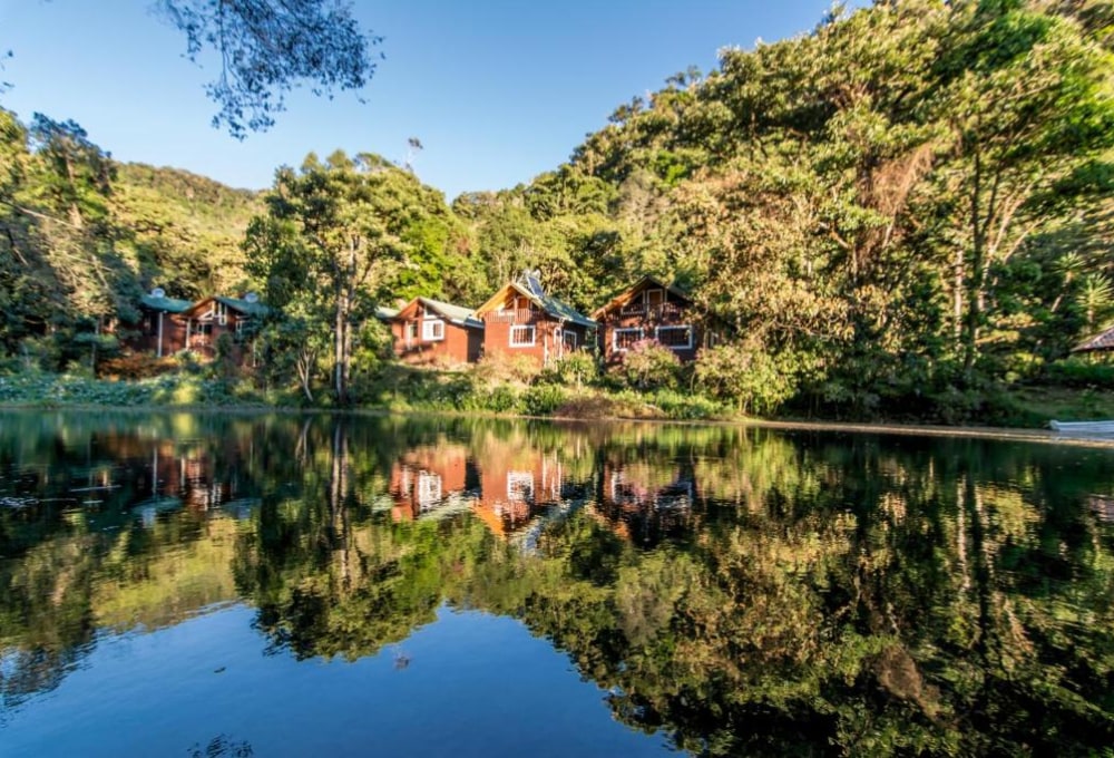 Sueños del Bosque Lodge